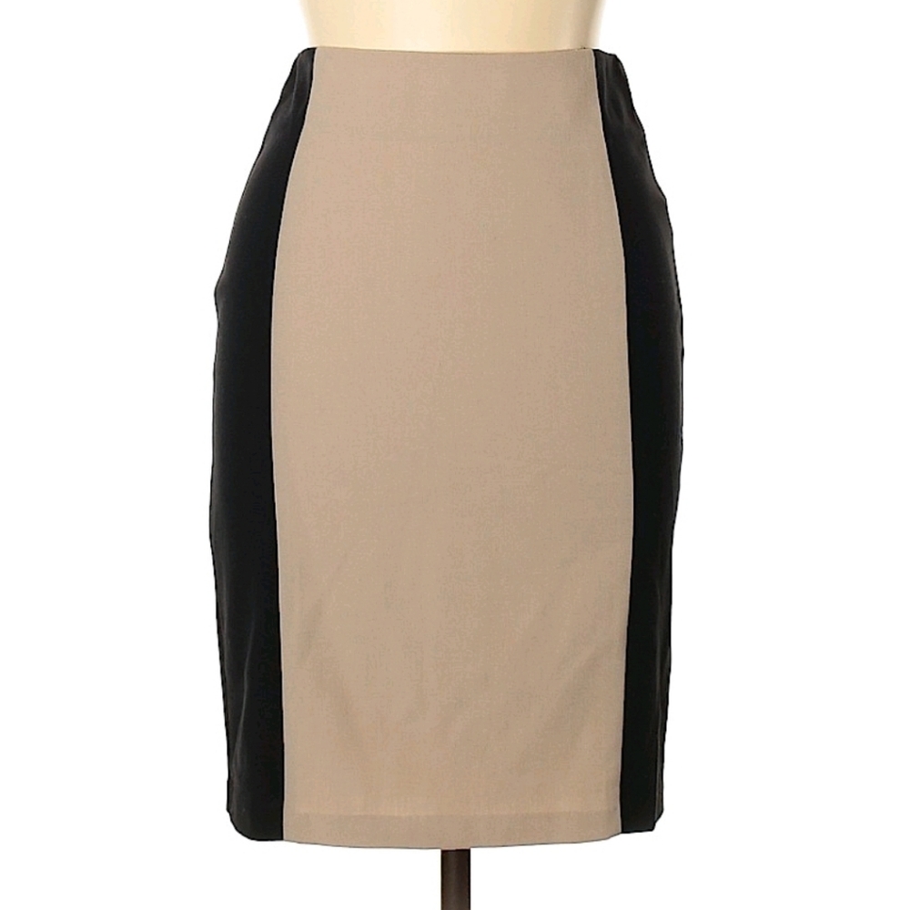 Forever21 Pencil Skirt (medium)